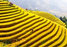 Tour Du Lịch Sapa - Thác Bạc 3 Ngày 2 Đêm (Đi - Về bằng tàu hỏa)